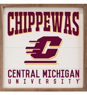 Traditional University Central Michigan